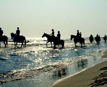 Reiten Reiten