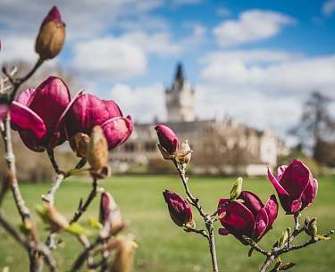 Mörwald Romantik Schloss Grafenegg Mörwald Romantik Schloss Grafenegg